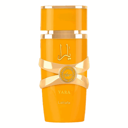 Yara Tous | EDP |